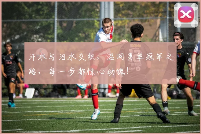 汗水与泪水交织，温网男单冠军之路，每一步都惊心动魄！