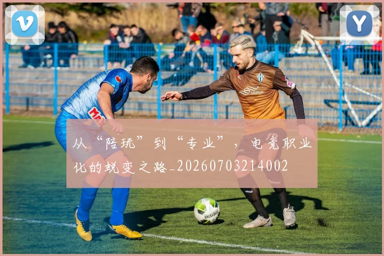 从“陪玩”到“专业”，电竞职业化的蜕变之路_20260703214002