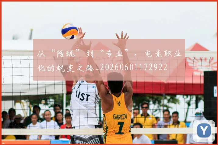 从“陪玩”到“专业”，电竞职业化的蜕变之路_20260601172922