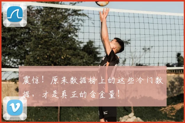 震惊!原来数据榜上的这些冷门数据,才是真正的含金量!